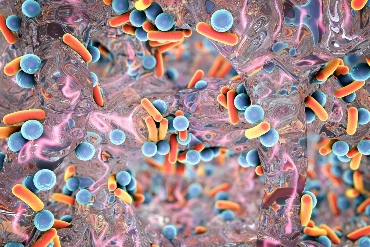 Gut Microbiome Ii 1200X800